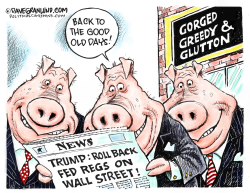 WALL ST REGS ROLLBACK  by Dave Granlund