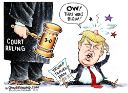 TRUMP TRAVEL BAN RULING  by Dave Granlund