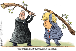 TRUMP BRANCHES OF GOVT by Rick McKee