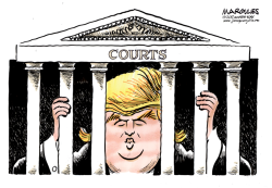 TRUMP TRAVEL BAN  by Jimmy Margulies