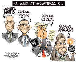 WHITE HOUSE GENERALS by John Cole