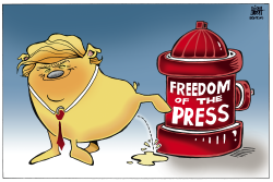 TRUMP AND THE MEDIA,  by Randy Bish
