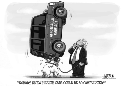 HEALTH CARE IS COMPLICATED by R.J. Matson