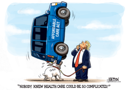 HEALTH CARE IS COMPLICATED- by R.J. Matson