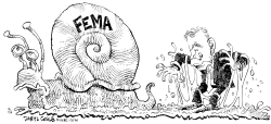 FEMA SNAIL by Daryl Cagle