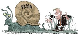 FEMA SNAIL  by Daryl Cagle