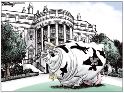 SACRED COW by Bill Day