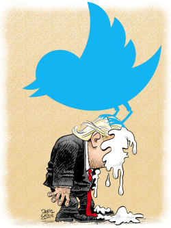 TRUMP TWITTER POOP by Daryl Cagle