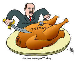 ENEMY OF TURKEY by Arend Van Dam