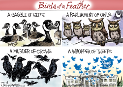 BIRDS OF A FEATHER by Joe Heller