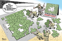 SYRIAN PEACE PUZZLE by Paresh Nath