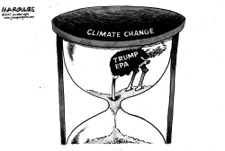 TRUMP AND CLIMATE CHANGE by Jimmy Margulies