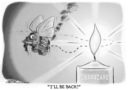 REPUBLICAN MOTH AND OBAMACARE FLAME by R.J. Matson