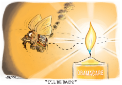 REPUBLICAN MOTH AND OBAMACARE FLAME- by R.J. Matson