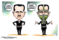 SYRIAN CHEMICAL WEAPONS  by Dave Granlund