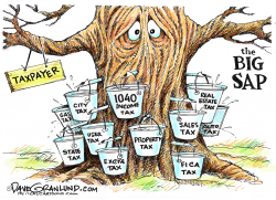TAXES  by Dave Granlund