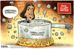 RICE IN HOT WATER by Rick McKee