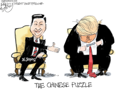 CHINESE PUZZLE by Pat Bagley