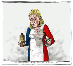INAPPROPRIATE STAIN REMOVAL by Joep Bertrams