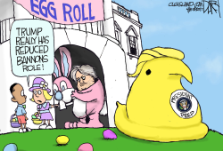 BANNON EGG ROLL by Jeff Darcy