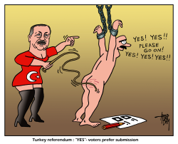 TURKISH YES VOTER by Arend Van Dam