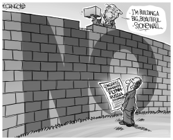 BUILD A STONEWALL BW by John Cole
