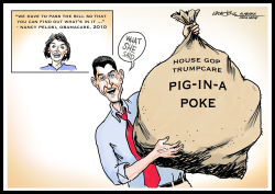GOP TRUMPCARE PIG-IN-A-POKE by J.D. Crowe