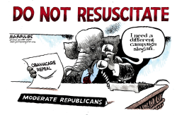 MODERATE REPUBLICANS AND OBAMACARE REPEAL  by Jimmy Margulies