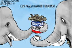 HOUSE PASSES TRUMPCARE by Jeff Darcy
