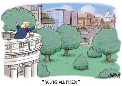 EXECUTIVE DECISION BY PRESIDENT TRUMP- by RJ Matson