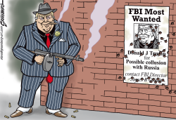 FBI WANTED GANGSTER by Steve Greenberg