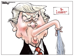 THE LEAKER by Bill Day