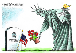MEMORIAL DAY FLOWERS  by Dave Granlund