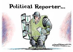 ASSAULTS ON REPORTERS  by Dave Granlund