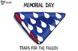 TEARS FOR THE FALLEN by Bruce Plante