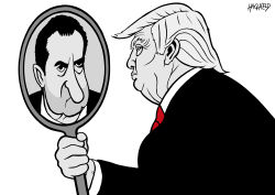 TRUMP LOOKS INTO A MIRROR by Rainer Hachfeld