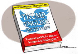 TRUMP TWITTER DICTIONARY by R.J. Matson