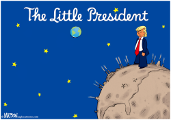 THE LITTLE PRESIDENT by R.J. Matson