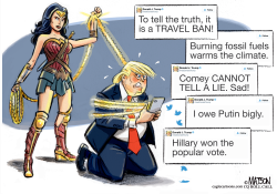 THE GOLDEN LASSO OF TRUTH by R.J. Matson