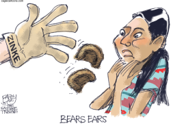 BEARS EARS BITS by Pat Bagley