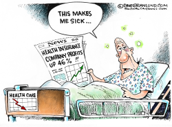 HEALTH INS CO PROFITS  by Dave Granlund
