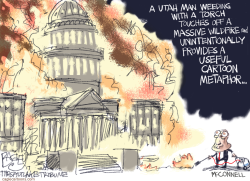 MCCONNELL by Pat Bagley