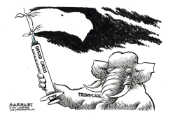 TRUMPCARE AND OPIOIDS  by Jimmy Margulies
