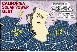 LOCALCA California Solar Power Glut by Wolverton