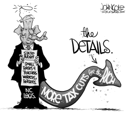 LOCAL NC GOP BUDGET DETAILS BW by John Cole