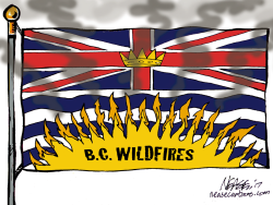 B.C. FIRES by Steve Nease
