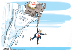 TRUMP AND REPUBLICANS ON THINNING ICE by RJ Matson