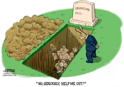 REPUBLICANS DIG EARLY GRAVE by R.J. Matson