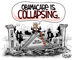 TRUMP COLLAPSE by John Cole