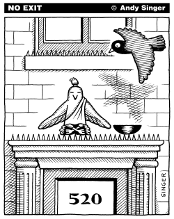 PIGEON MEDITATING ON SPIKES by Andy Singer